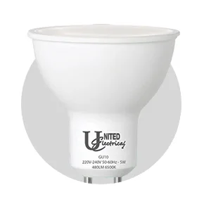 Globes LED