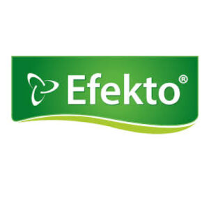 Efecto