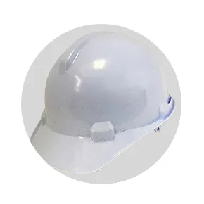 Head Protection