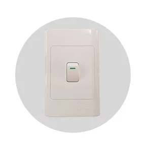 Lever/Light Switches