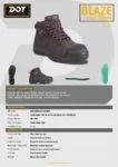 DOT-Blaze-Hiker-Brown-Spec-Sheet | Securadeal