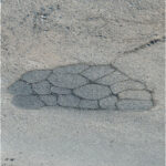 PatchPal™ Information Pack | Securadeal Cracked Asphalt Pattern Resembling a Turtle with a Segmented Shell on a Gray Road Surface