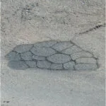 PatchPal™ Information Pack | Securadeal Cracked Asphalt Pattern Resembling a Turtle with a Segmented Shell on a Gray Road Surface